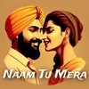 About Naam Tu Mera Song