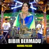 About Bibir Bermadu Song