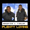 About Plenty Loving Song