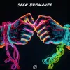 About Seek Bromance Song
