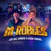 About M Robles Song