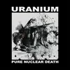 About Pure Nuclear Death Song