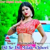 About Dil Se Dil Milale Chhori Song