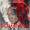 About Somandla Song