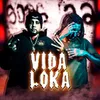About Vida loka Song