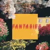 About Fantasies Song
