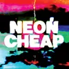 About Neon Cheap (Megaphone) Song