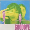 About Goodbye Song