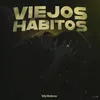 About Viejos Hábitos Song