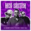 About Hey Sister Song