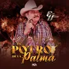 About El Potro De La Palma Song