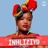 About Inhliziyo Song