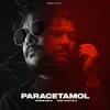 About Paracetamol Song
