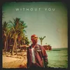 About Without You Song