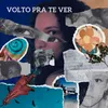 About Volto Pra Te Ver Song