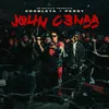 About John Cenaa Song