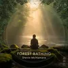 Sunrise Meditation (Bhairavi) - Forest Bathing - 432 Hz