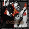 About Schille: Bntz Rt Sessions, Vol. 1 Song