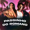 About Passinho do Romano Song