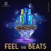 About FEEL THE BEATS Song