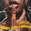 About Baby Gallardo Song