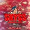 About Skyss 2024 - Hjemmesnekk Song