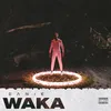 About Waka Song