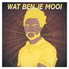 About Wat Ben Je Mooi Song