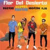 Flor Del Desierto