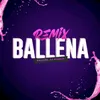 About Ballena Song