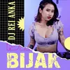 About Bijak Song