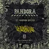 About Pandora, El rolo rules Song