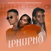 About Iphupho Song