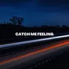 About Catch Me Feeling Song