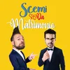 About Scemi da matrimonio Song