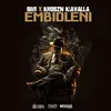 About Embidleni Song