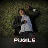 About Pugile Song