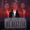 About Amarte Es Mi Destino Song