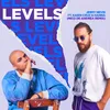 About Levels Song