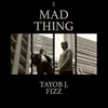 About Mad Thing Song