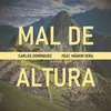 About Mal de Altura Song