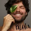 About Palavra Song