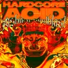 About Hardcore Acid Song