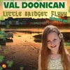 About Little Bridget Flynn Song