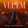 About Vehem Song