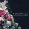 Experience