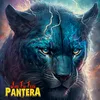 Pantera