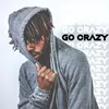 About Go Crazy Song