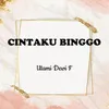 About Cintaku Binggo Song