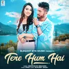 About Tere Hum Hai Song